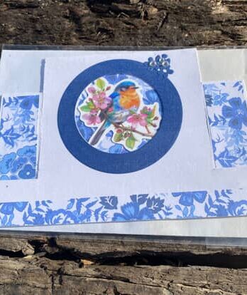 Bird card