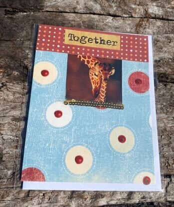 Giraffe together