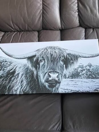 highland cow canvas print 30cm x 60cm