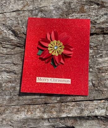 Christmas red flower