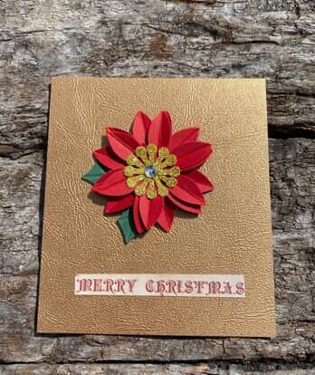 Red Christmas flower