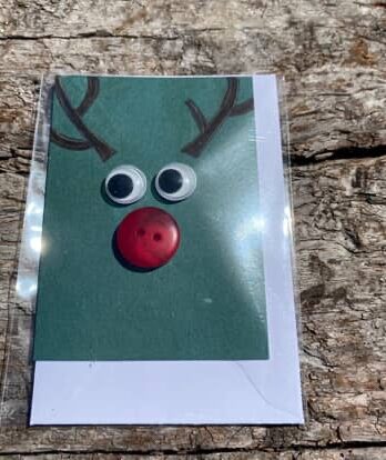 Reindeer