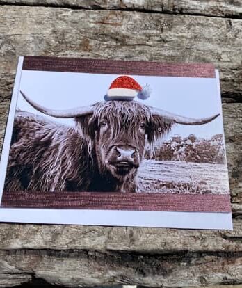 Highland cow card
