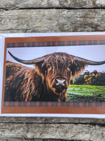 highland cow card