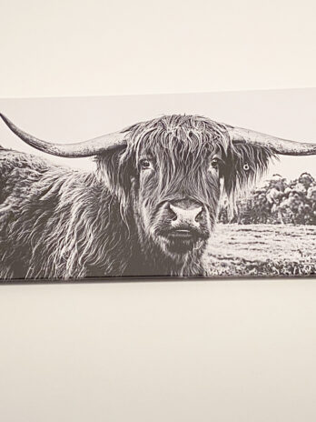 Highland cow canvas 50x100cm