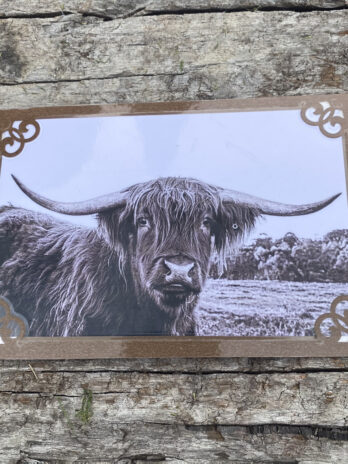 Highland cow card