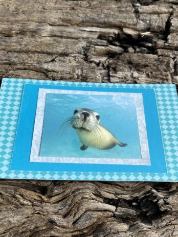 Seal