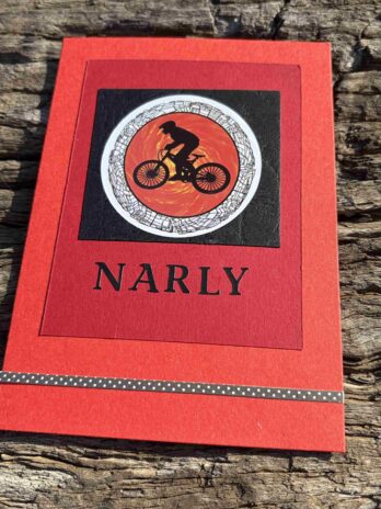 mountain bike card
